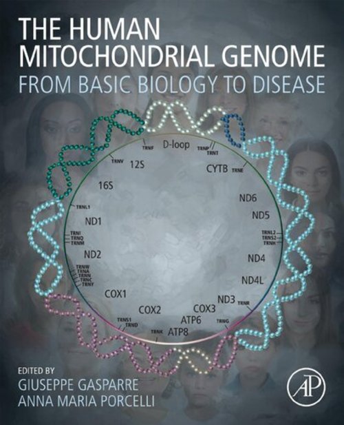 Product picture The Human Mitochondrial Genome From Basic Biology to Disease